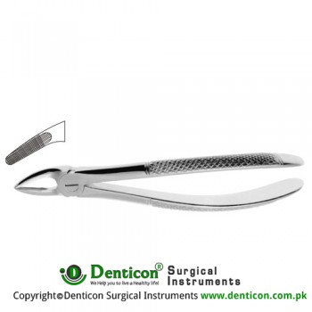 English Pattern Tooth Extracting Forcep Fig. 30 (For Upper Roots) Stainless Steel, Standard